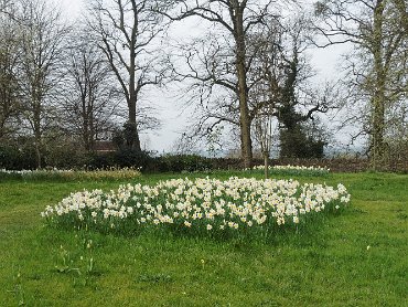 Dyrham Park April 2016