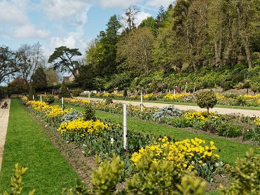 Dyrham park - The formal gardens April 2018