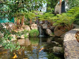 Madeira - Llha das Aves Bird Garden