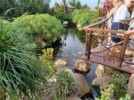 Madeira - Llha das Aves Bird Garden