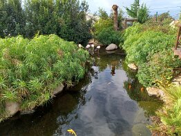 Madeira - Llha das Aves Bird Garden