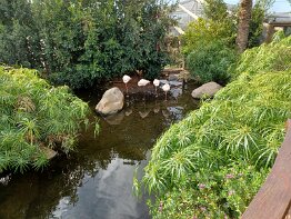Madeira - Llha das Aves Bird Garden