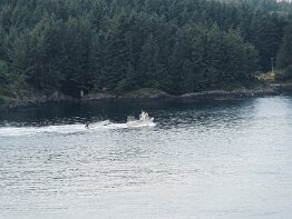 Norway Trip - Haugesund